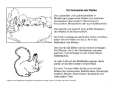 Fehlerlesen-Stockwerke-des-Waldes-Lesetext-1-4-SW.pdf